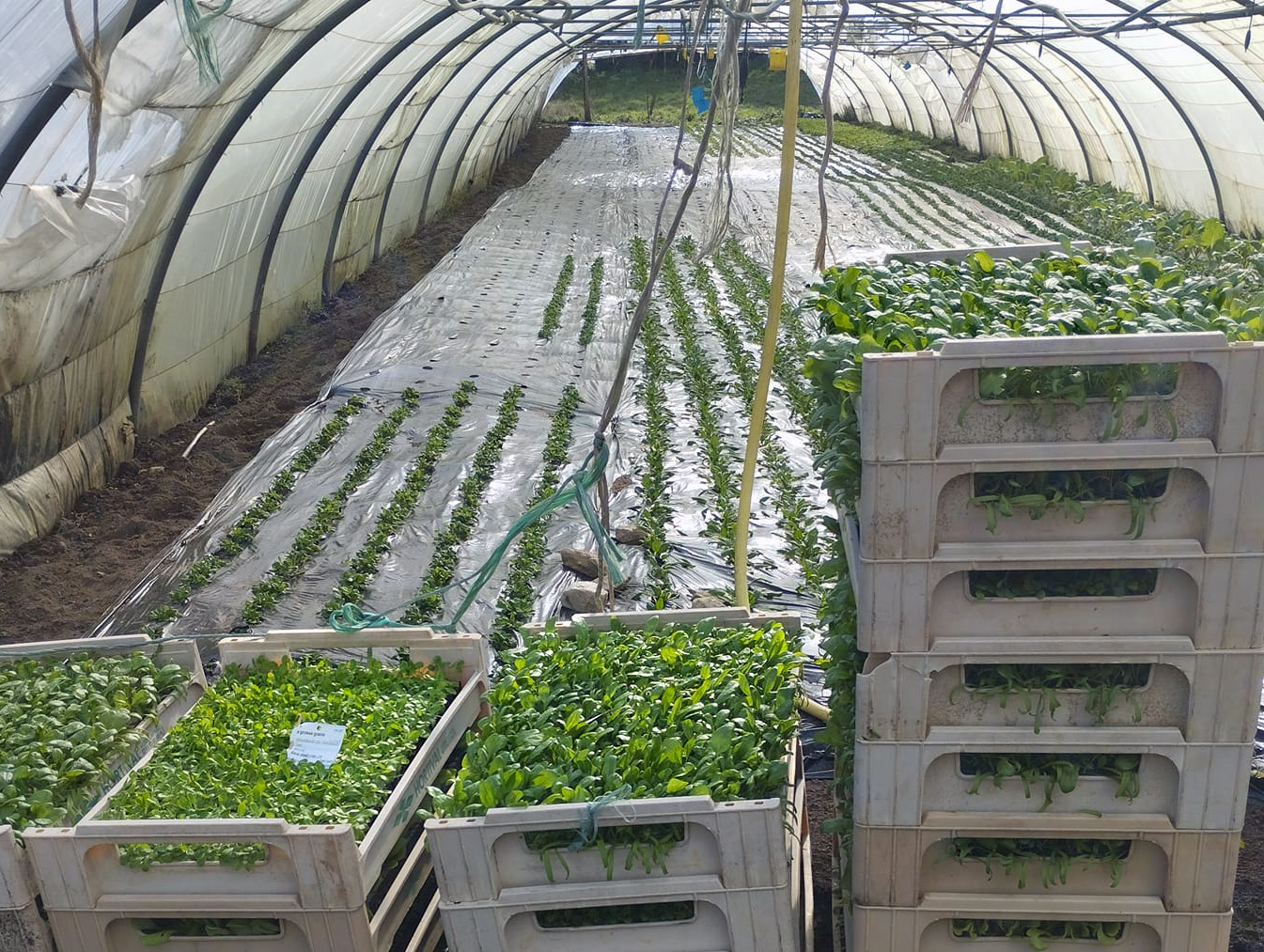 Ferme de la Chabasse — photo 3