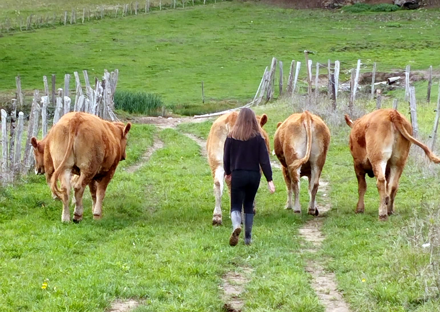 Ferme de la Chabasse — photo 2