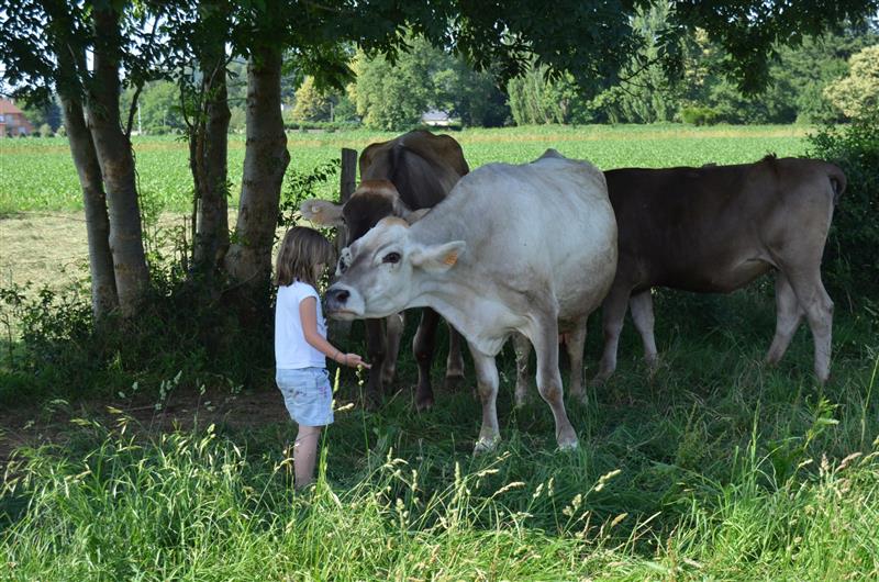 Ferme de la Porte d'Aspe