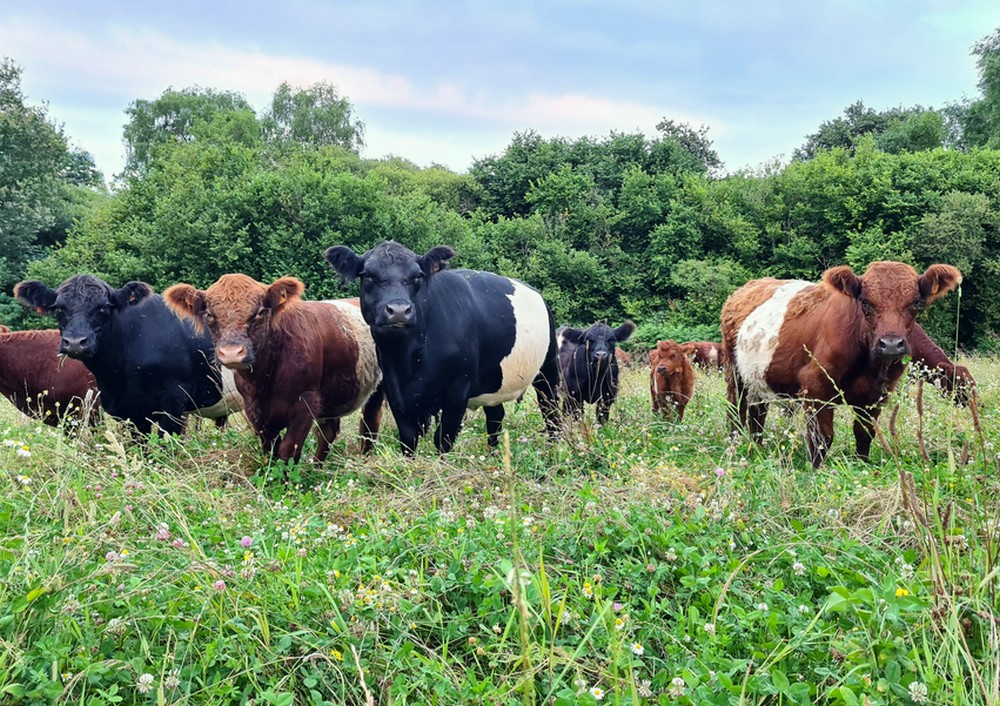 La ferme des Chantouroux