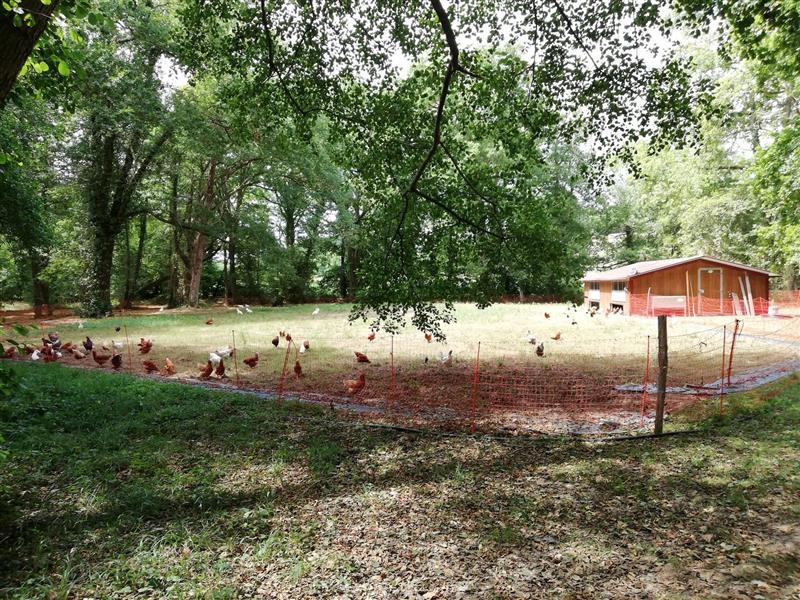 Ferme des Luys
