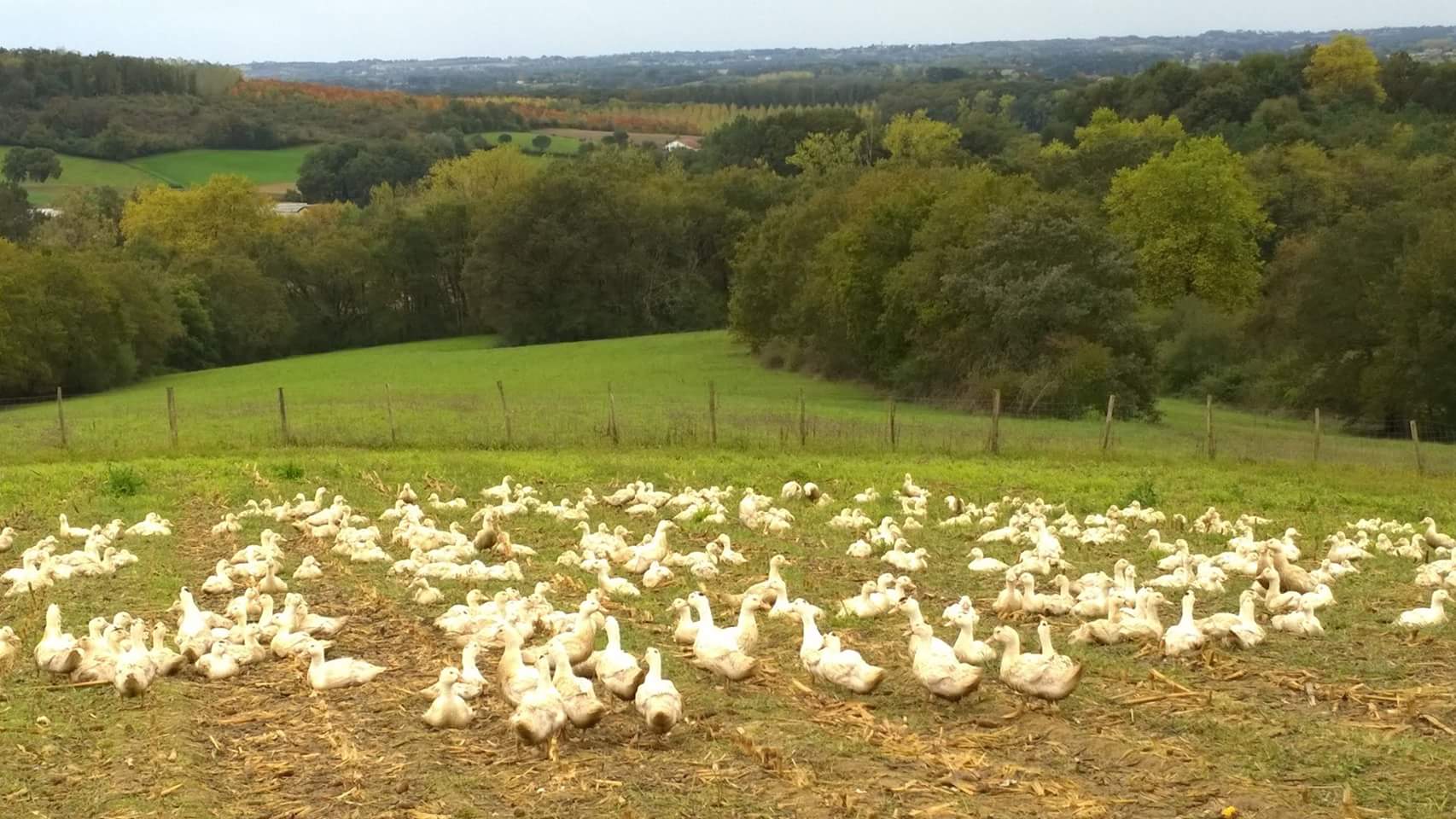 Ferme des Eschourdes