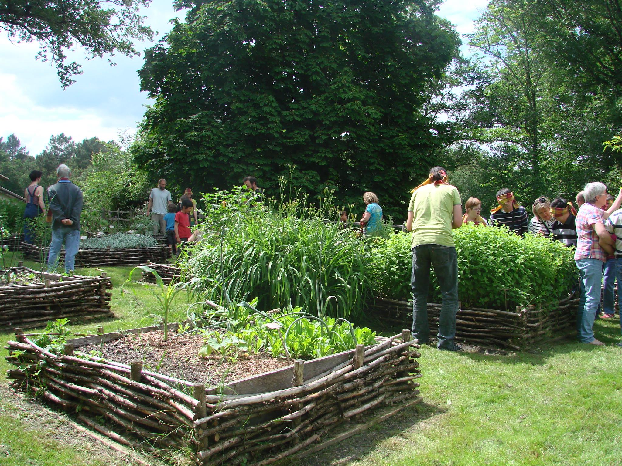 Liaison Étang de la Jemaye-Le Parcot, La Jemaye-Ponteyraud