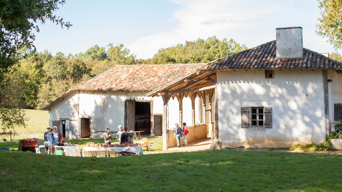 Chemins de Terre d'Harrison Barker - Forêt de Double (Variante de Saint-Aulaye à Echourgnac) - photo 3