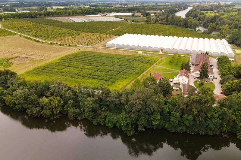 Ferme et Musée du Pruneau, Lafitte-sur-Lot - photo 3