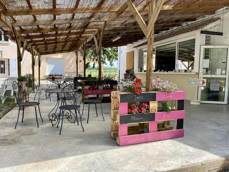 Ferme et Musée du Pruneau - aire de stationnement, Lafitte-sur-Lot - photo 10