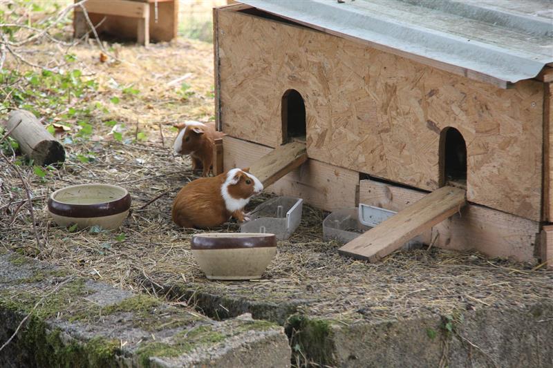 Ferme pédagogique des Marnières
