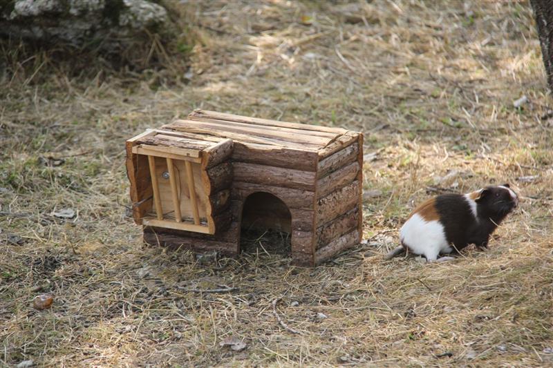 Ferme pédagogique des Marnières