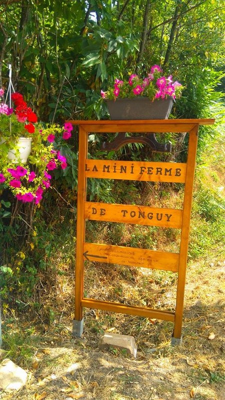 La Mini Ferme de Tonguy — Musées & Expositions à Corrèze