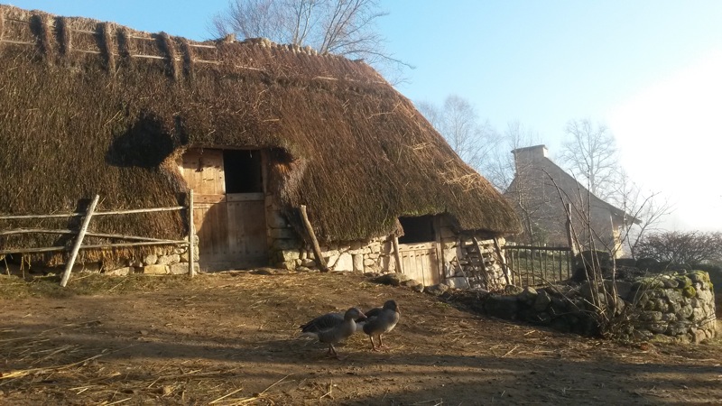 Les Fermes du Moyen Age, Saint-Julien-aux-Bois - photo 4