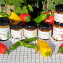 Les fermentades poitevines