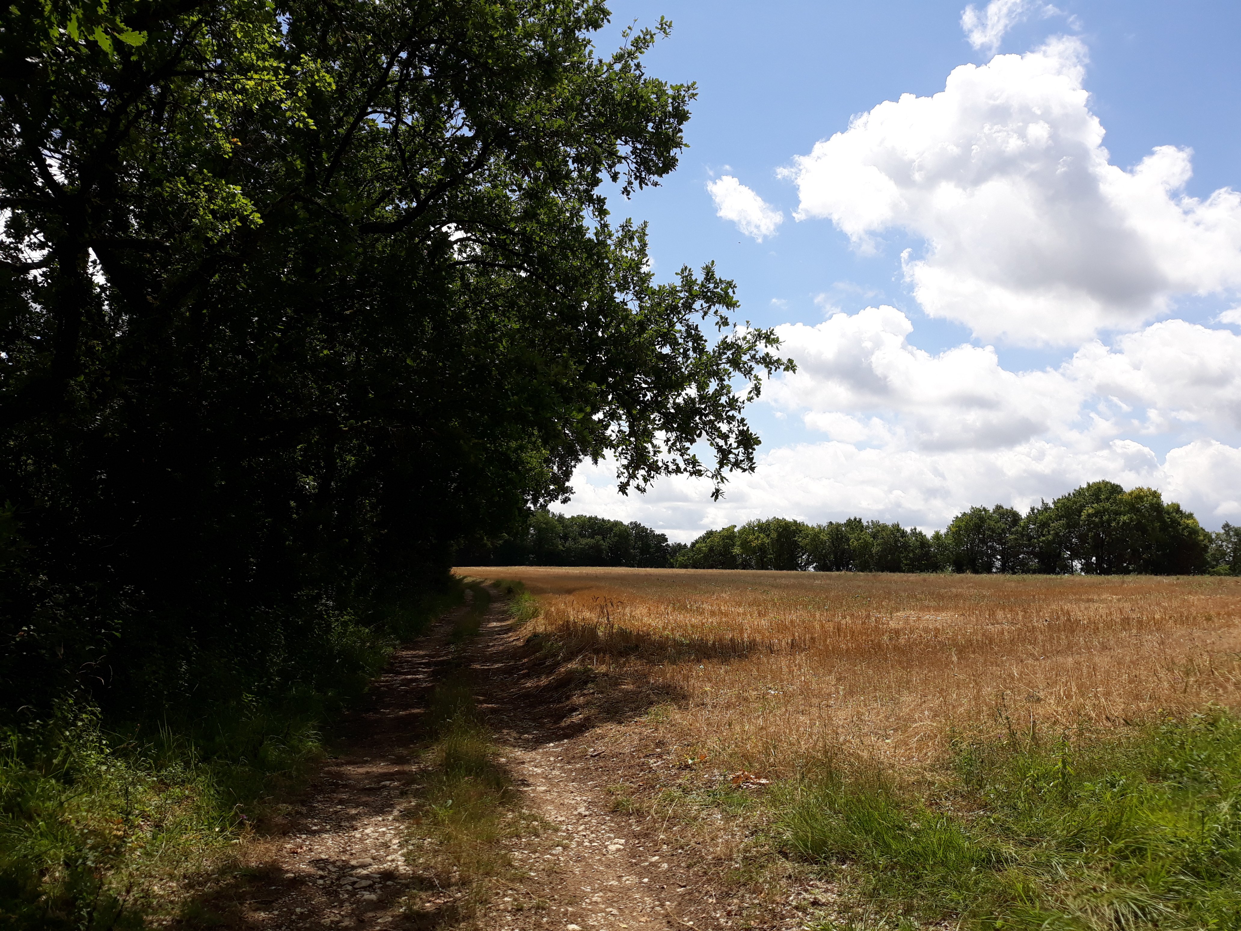 Ferrensac, une randonnée entre plaine du Dropt et coteaux