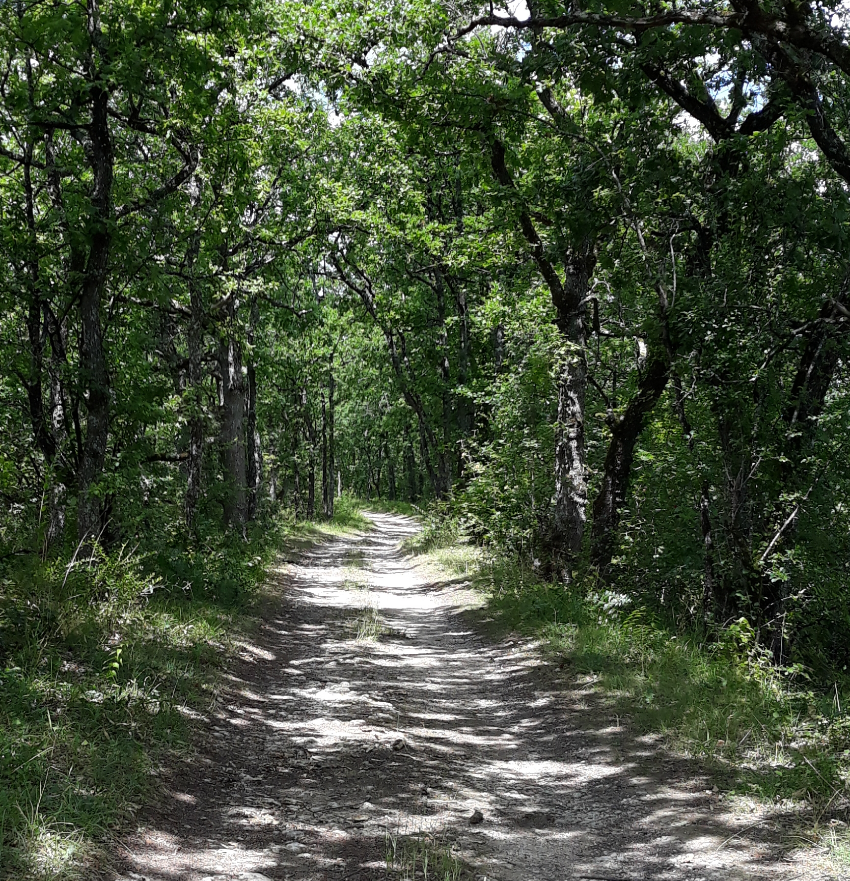Ferrensac, une randonnée entre plaine du Dropt et coteaux, Ferrensac - photo 2