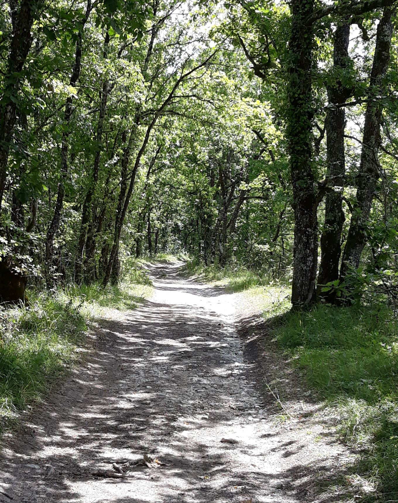 Ferrensac, une randonnée entre plaine du Dropt et coteaux
