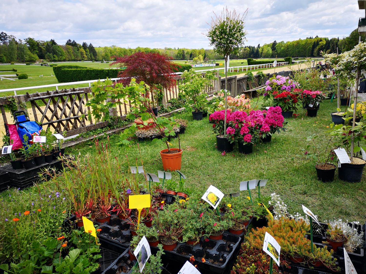 Fête des plantes à Pompadour - photo 2