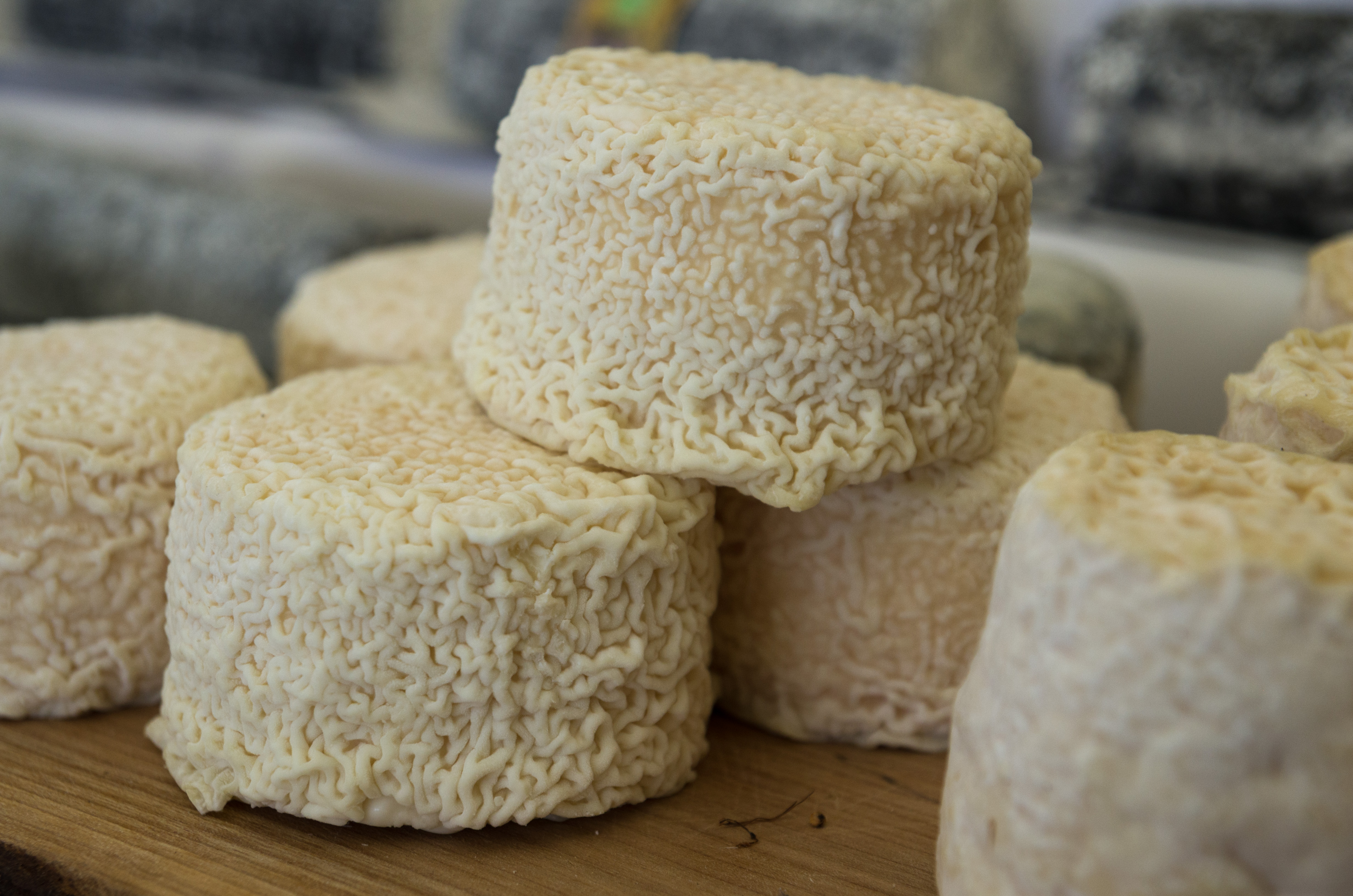 Maison des Fromages de Chèvre, Celles-sur-Belle - photo 13