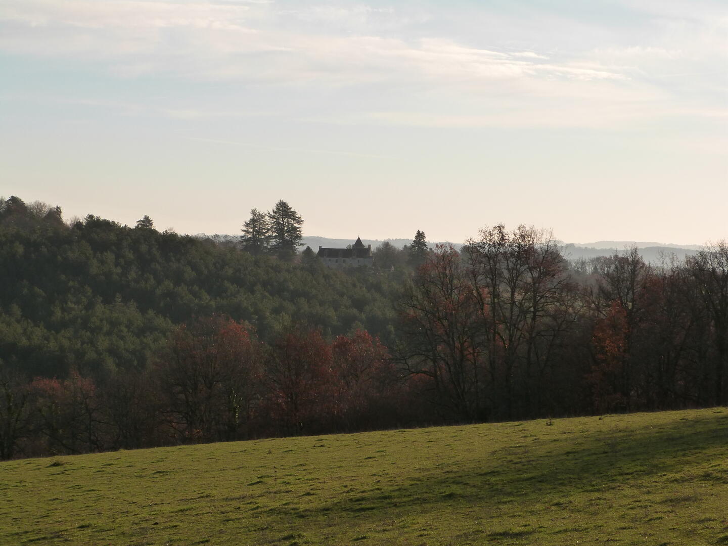 Balade de la biodiversité : Boucle de la Boissonnie n° 25 / Fleurac, Fleurac