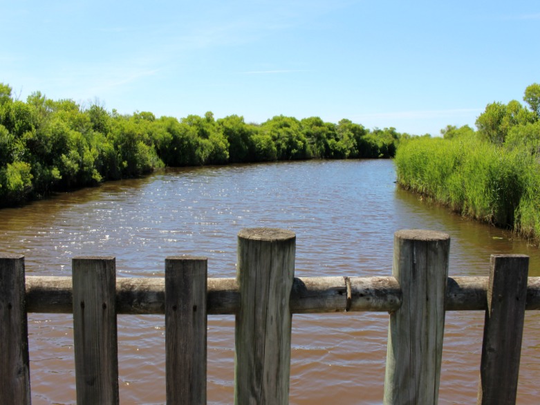 Les secrets de la petite Amazone, Le Teich - photo 4