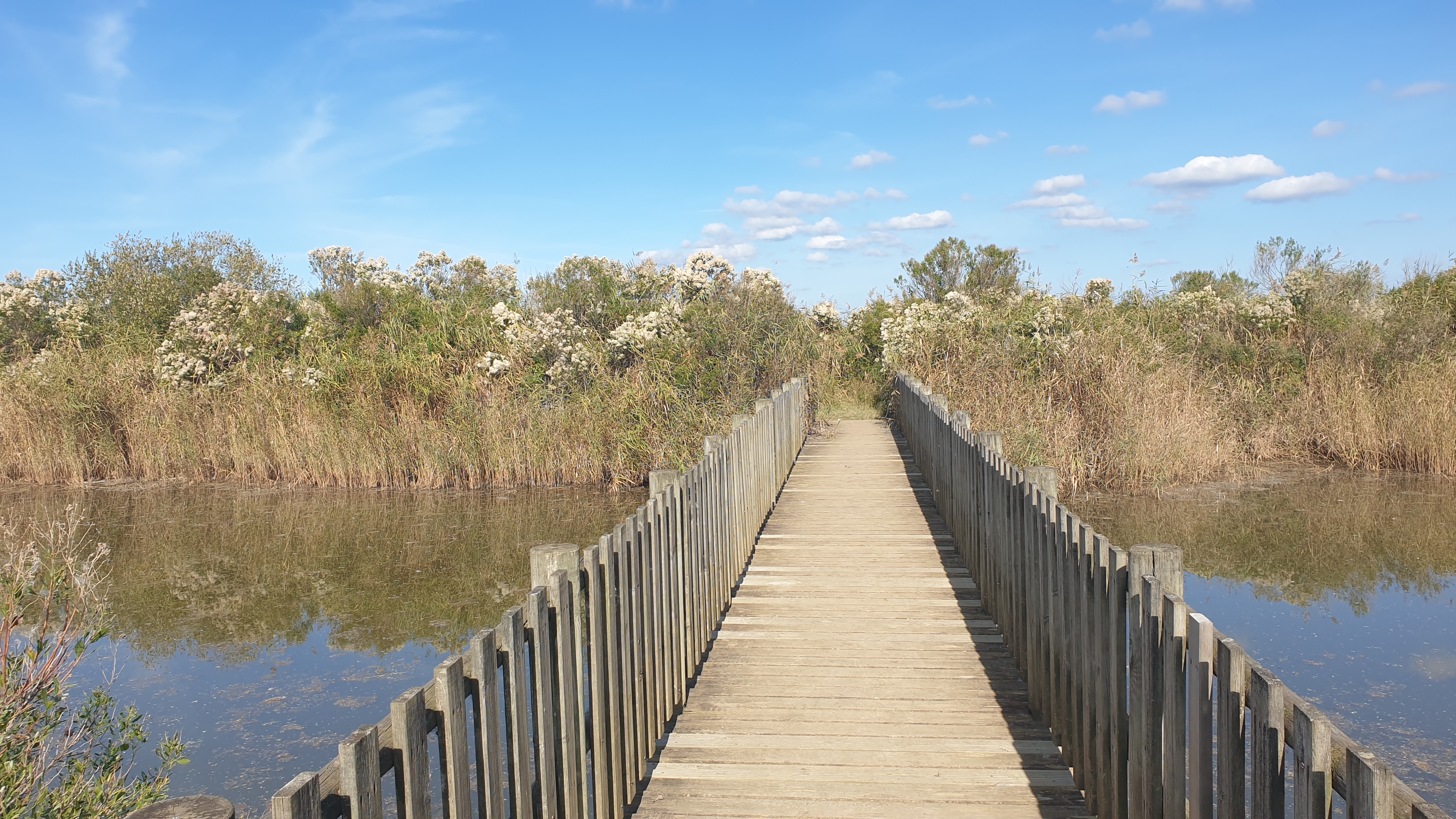 Le domaine de Fleury dans le delta de la Leyre, Le Teich - photo 5
