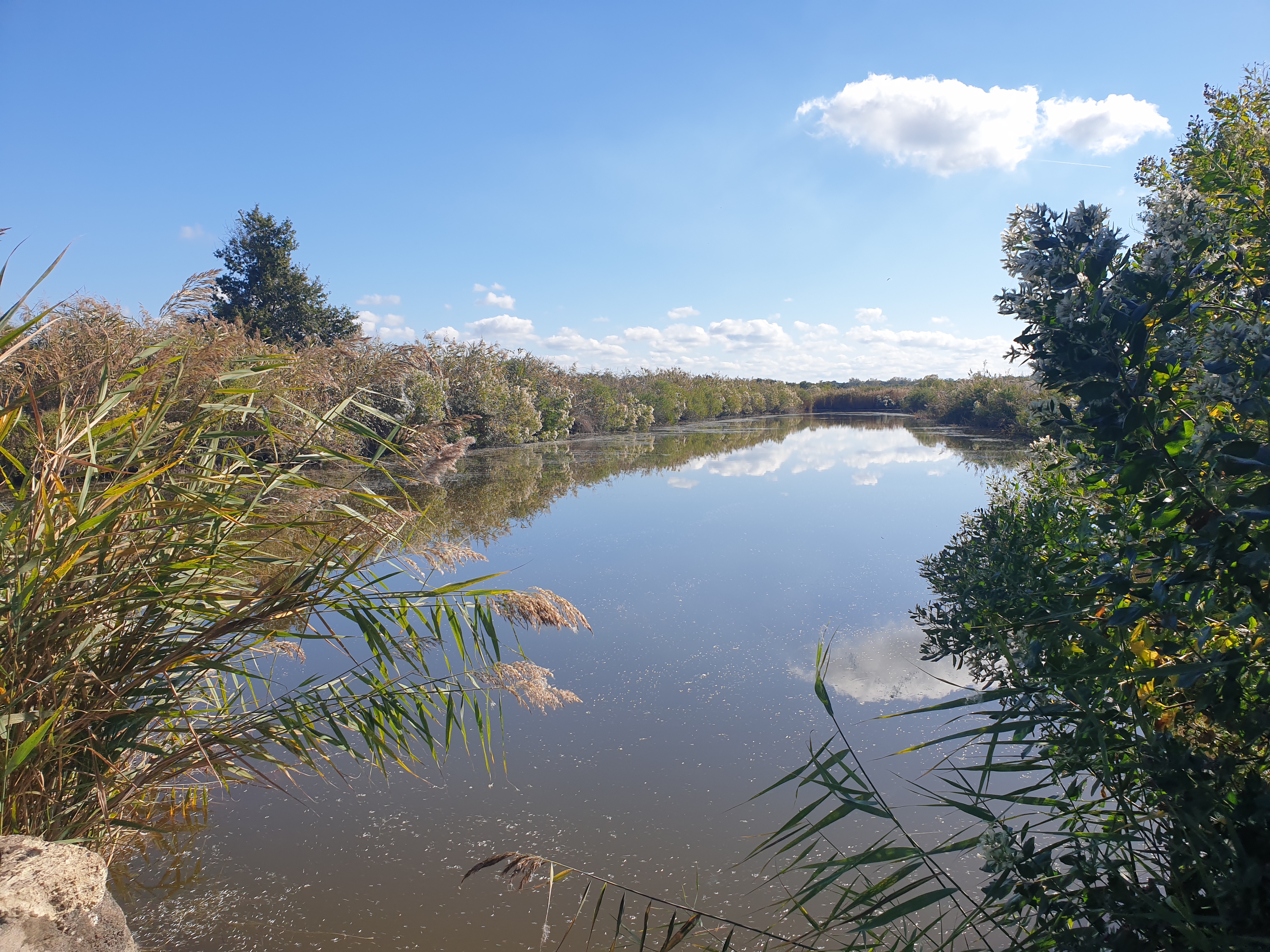 Le domaine de Fleury dans le delta de la Leyre, Le Teich - photo 2
