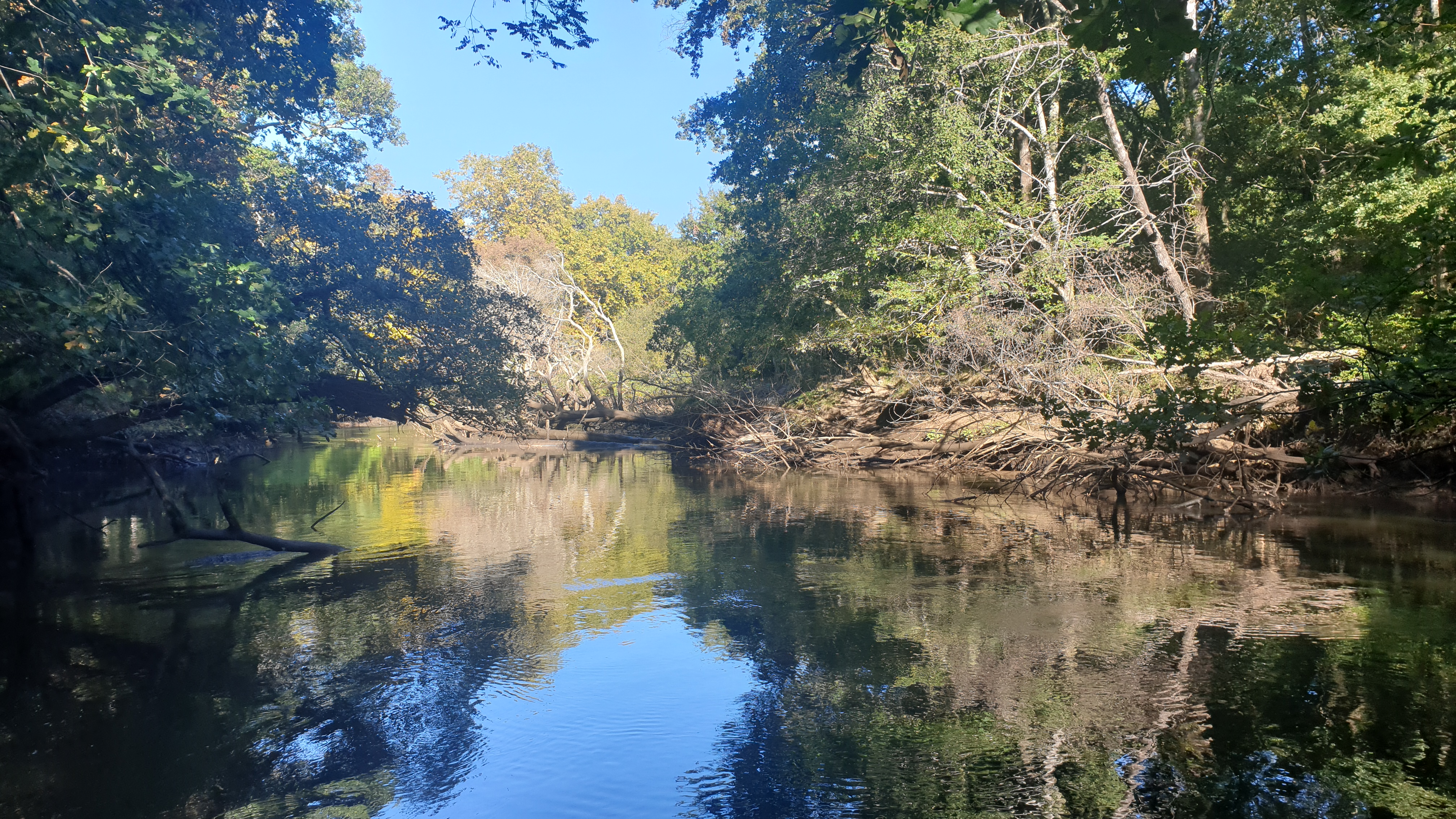 Le domaine de Fleury dans le delta de la Leyre, Le Teich - photo 6