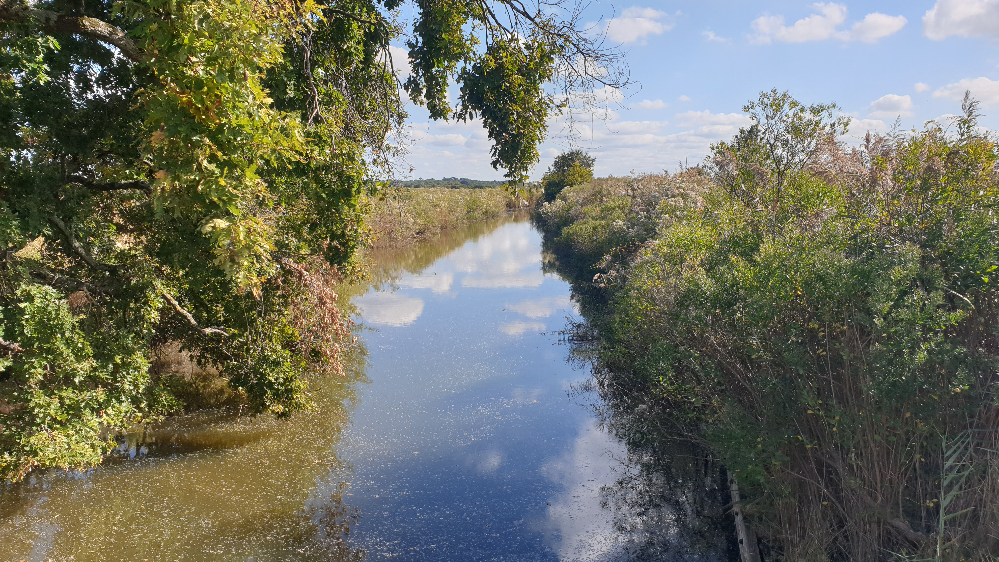Le domaine de Fleury dans le delta de la Leyre, Le Teich - photo 4