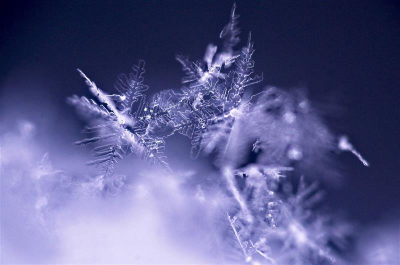 Les secrets de la neige