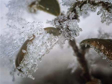 Du flocon à la neige Du flocon à la neige