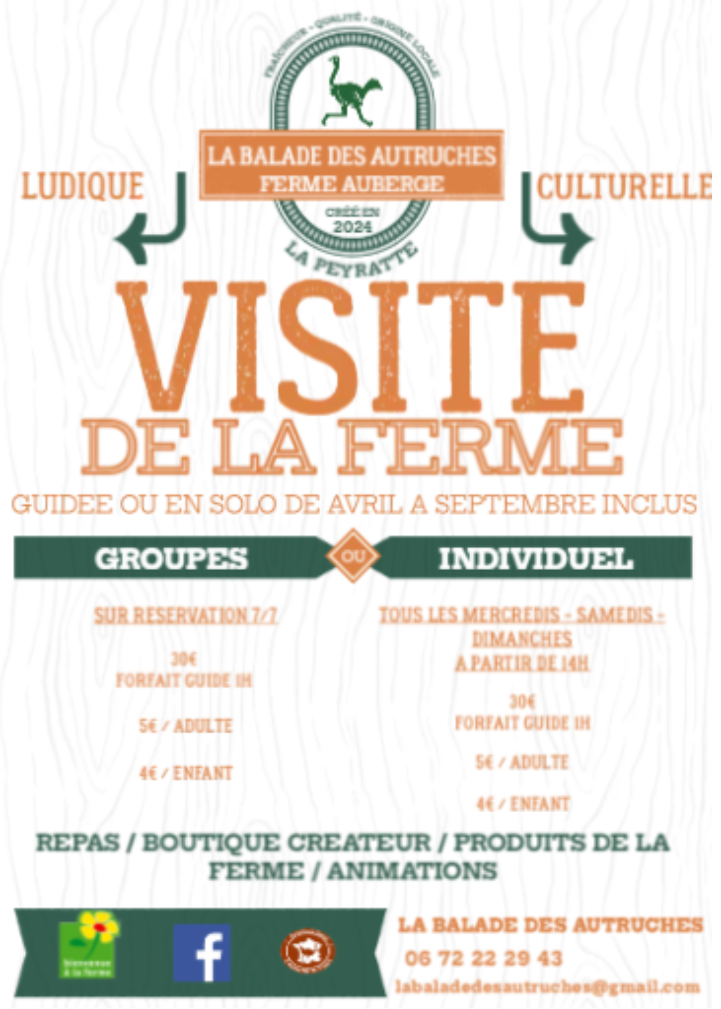 La Balade des autruches