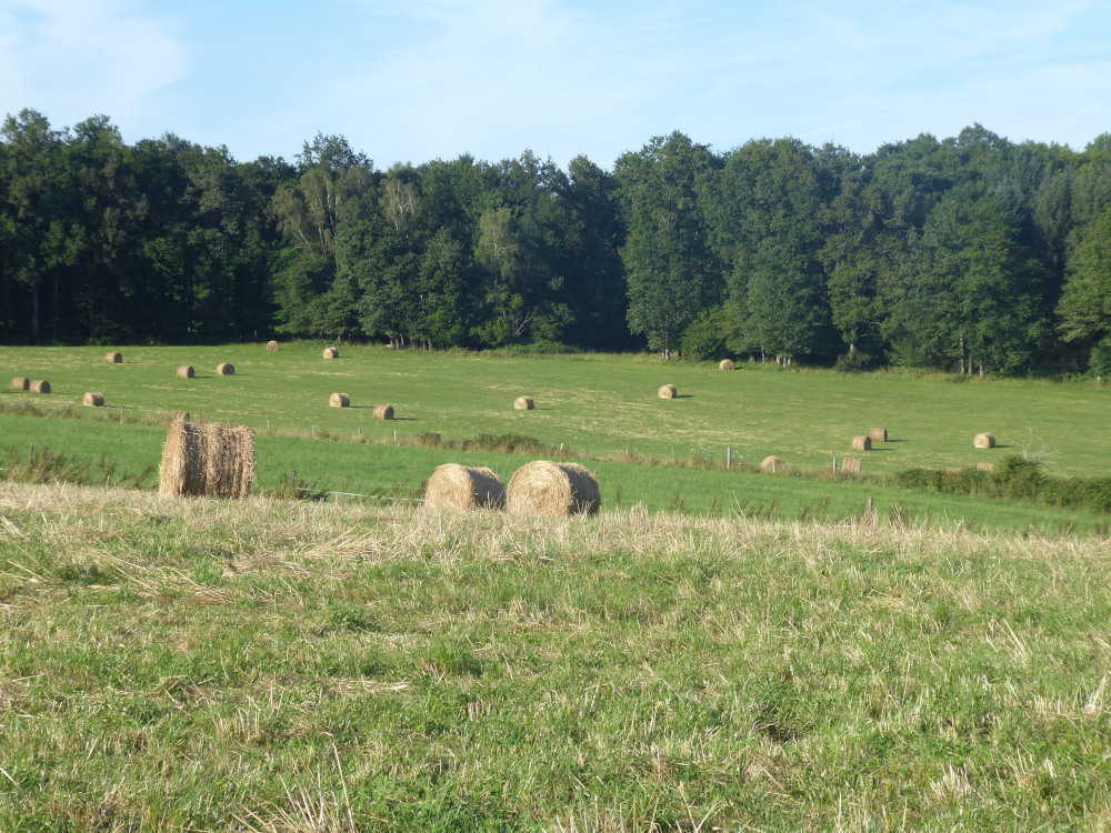 GAEC de Laubanie - éleveurs et paysans boulangers — photo 3