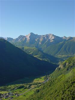 Les vautours