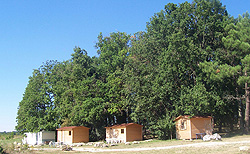 Camping à la ferme Lou Tuquet - photo 2