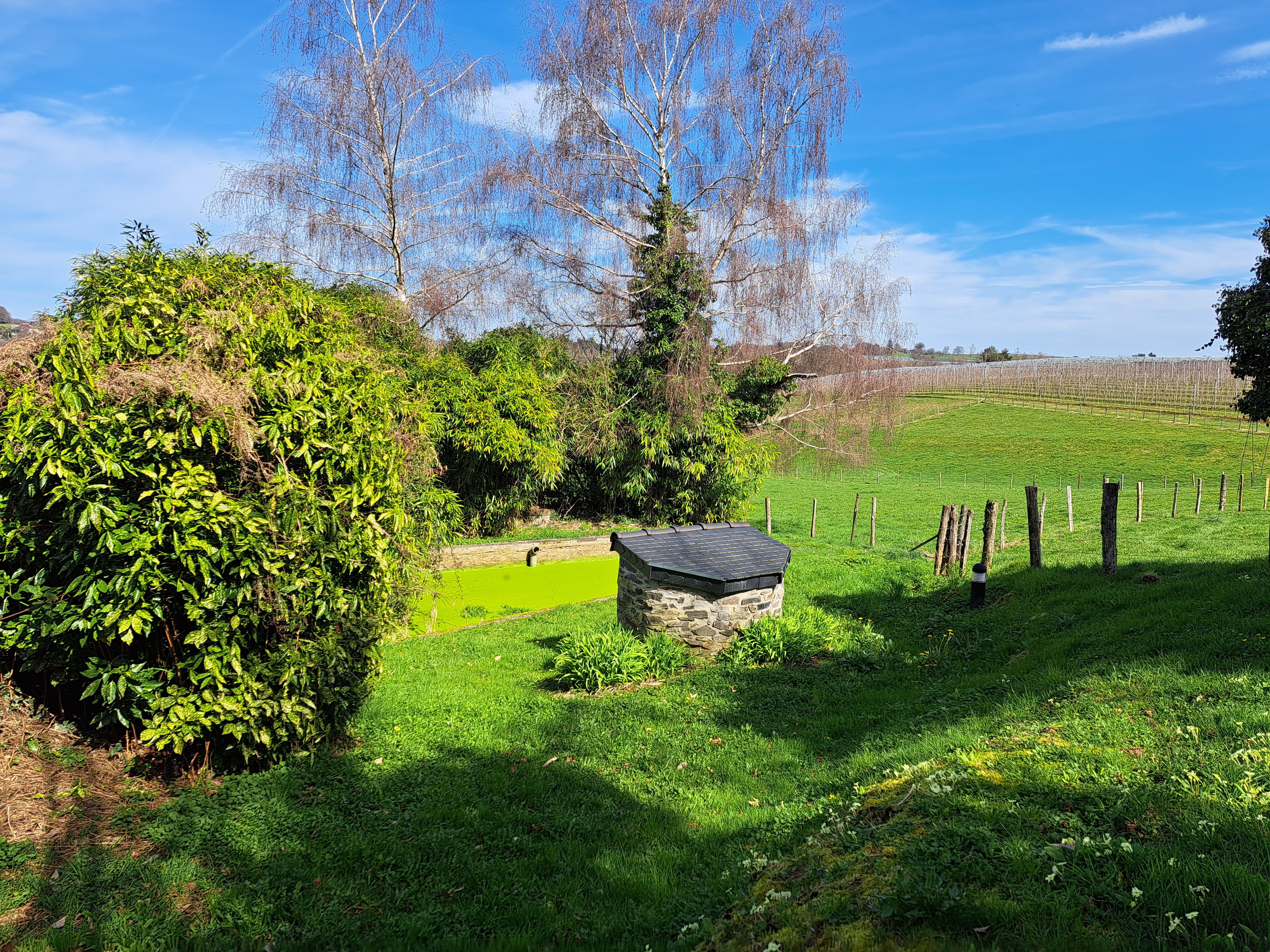 Les Vignes - photo 3