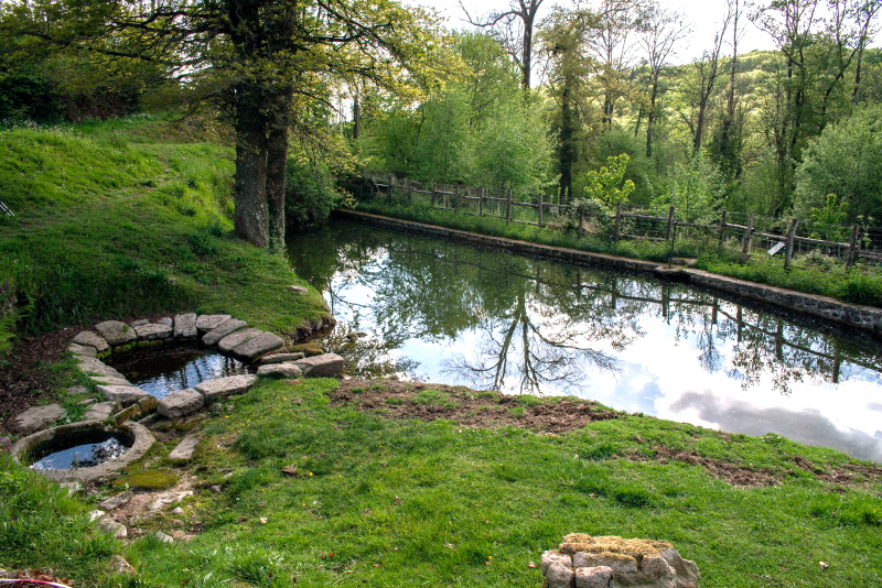 Base VTT FFC des Monts du Limousin - Circuit 14 Pierres sèches, Jabreilles-les-Bordes - photo 3