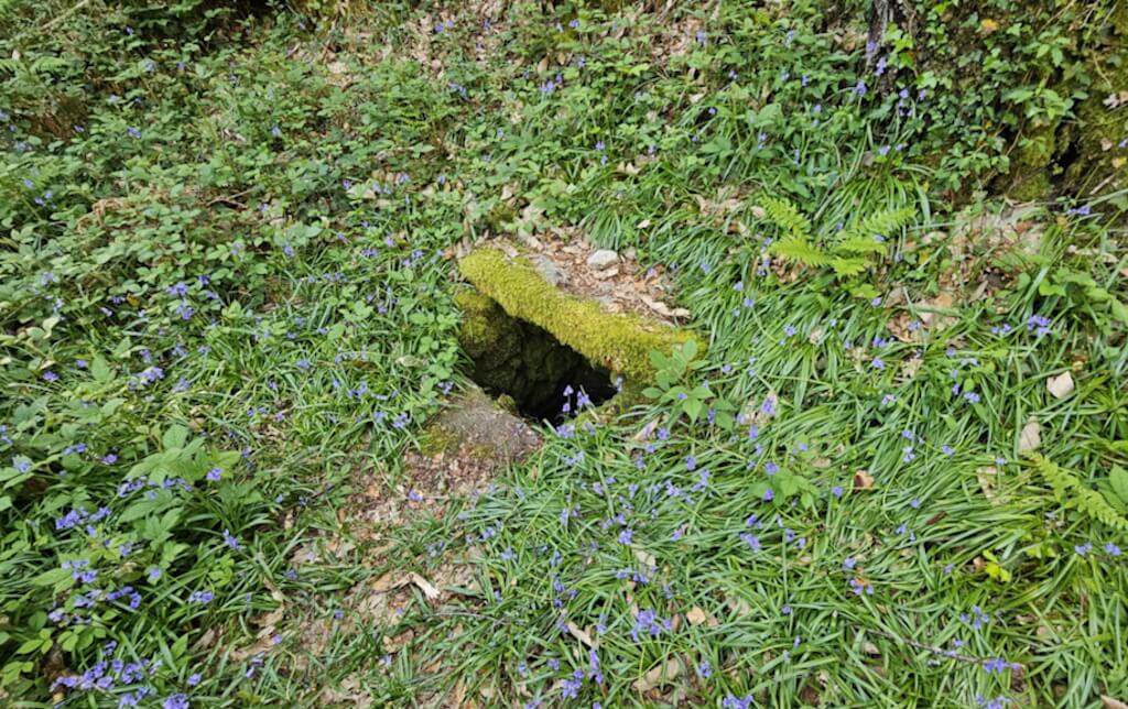 Fontaine Saint Cloud