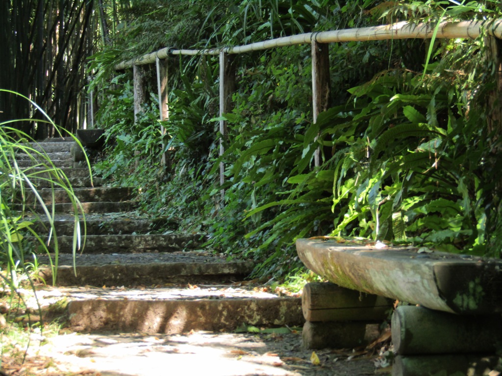 Fontaine des cent marches, Montfort-en-Chalosse - photo 3