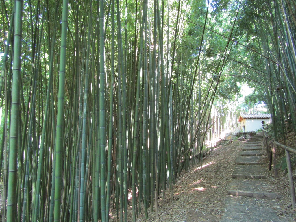 Fontaine des cent marches, Montfort-en-Chalosse - photo 7