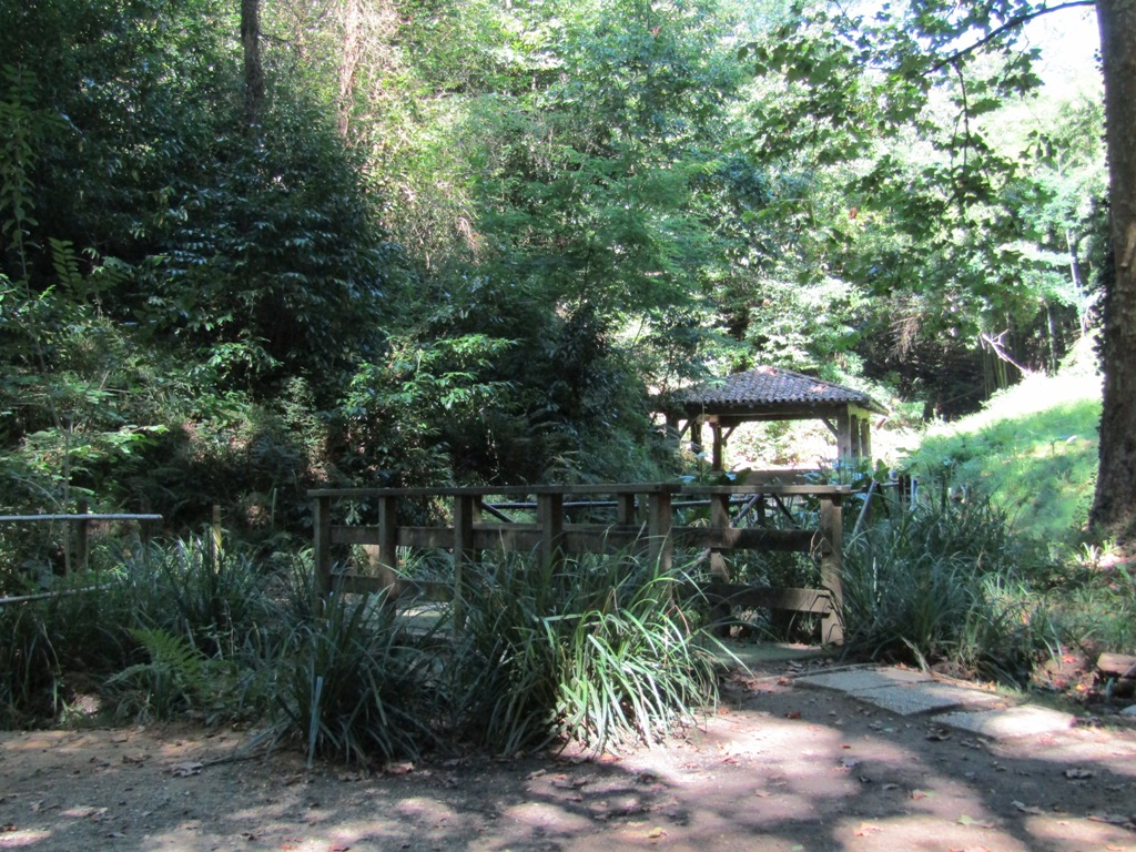 Fontaine des cent marches, Montfort-en-Chalosse - photo 5