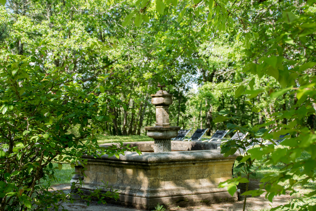 Terre de Jor, Saint-Léon-sur-Vézère - photo 7