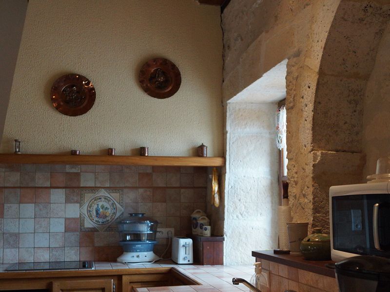 Fontoursine, Monsaguel - photo 4