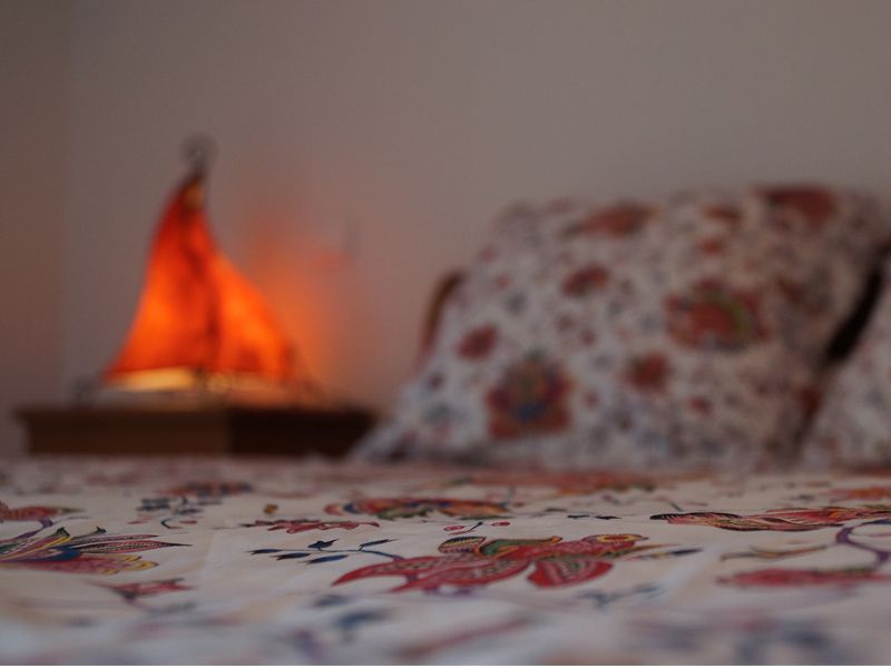 Fontoursine, Monsaguel - photo 14