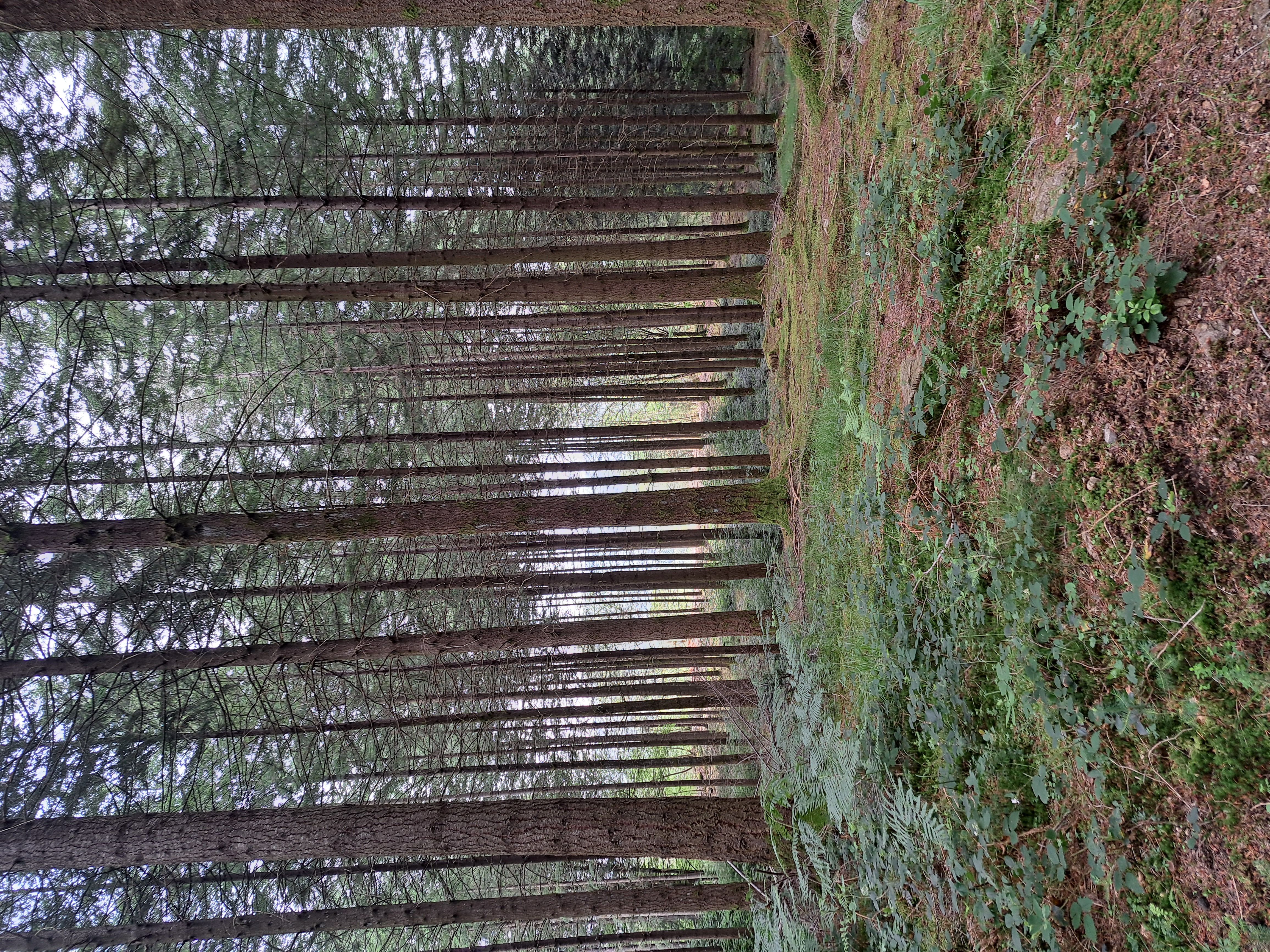 Les Deux Vallées - photo 2