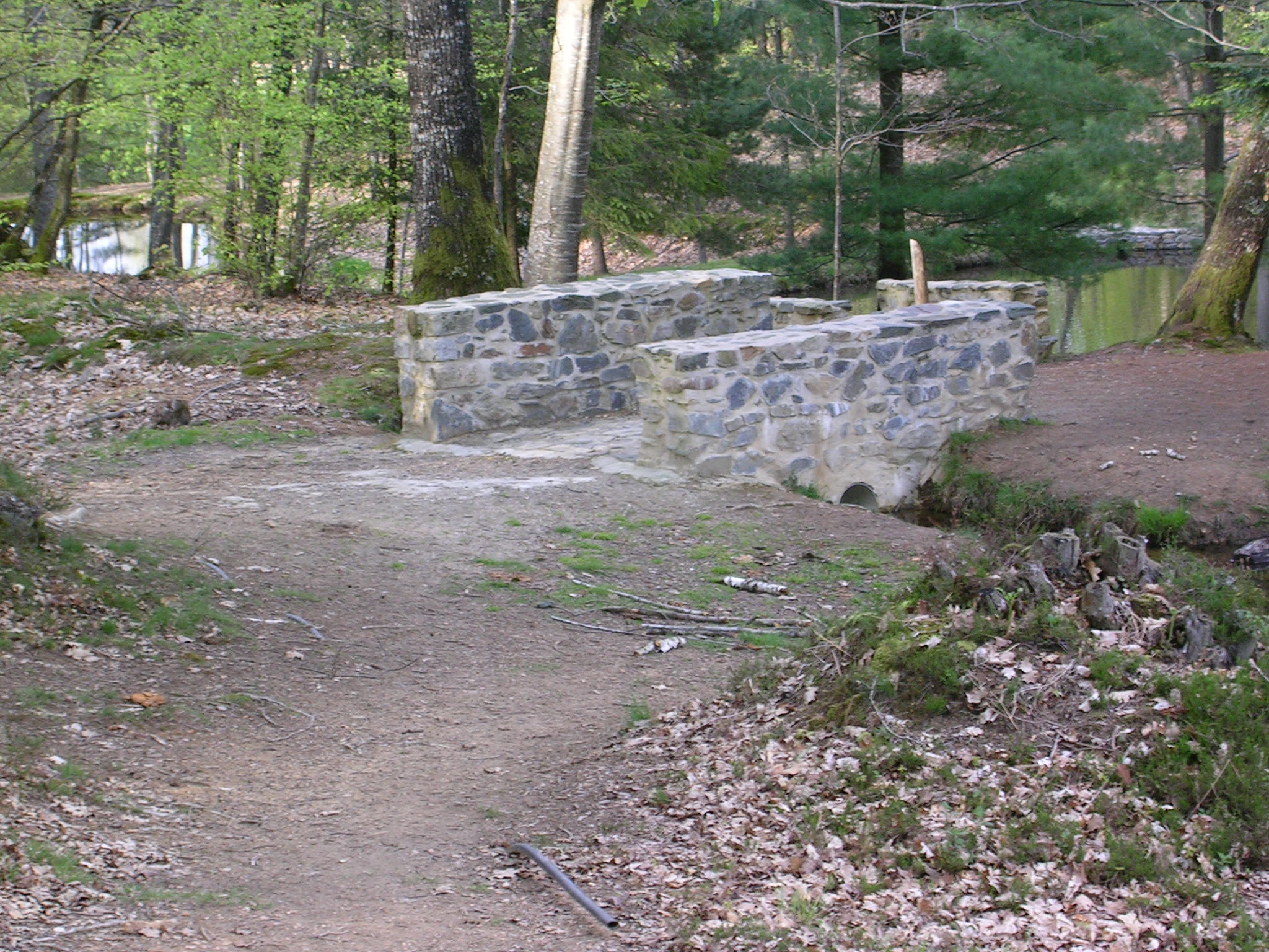 Tèrra Aventura : Logeons-nous dans les bois - photo 4