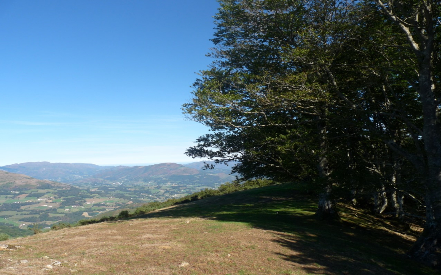 Randonnée accompagnée Mendi Gaiak : rando-pelote sur les collines, Ossès - photo 4
