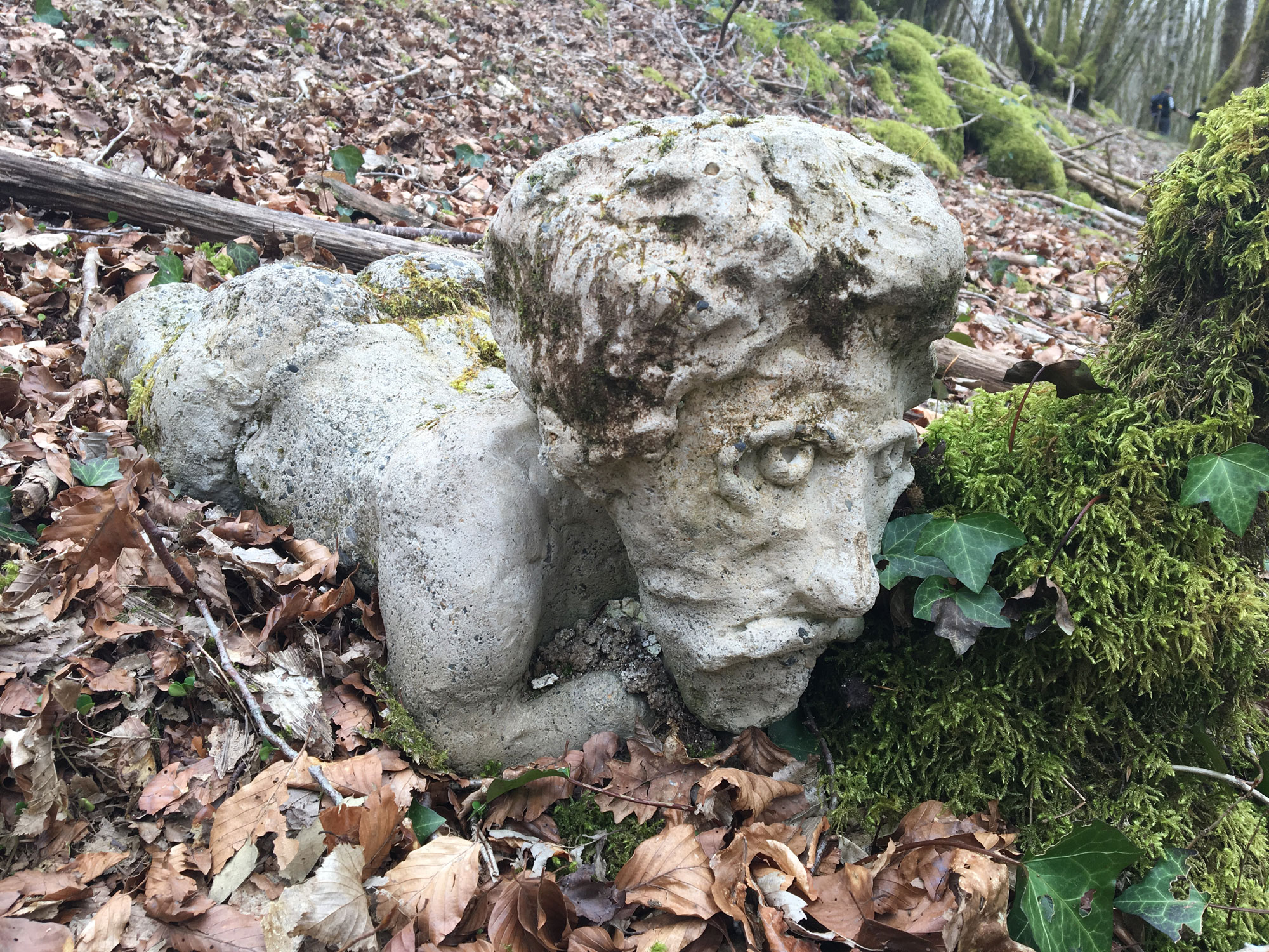 Les amoureux de la Forêt de Blanchefort, Lagraulière - photo 3