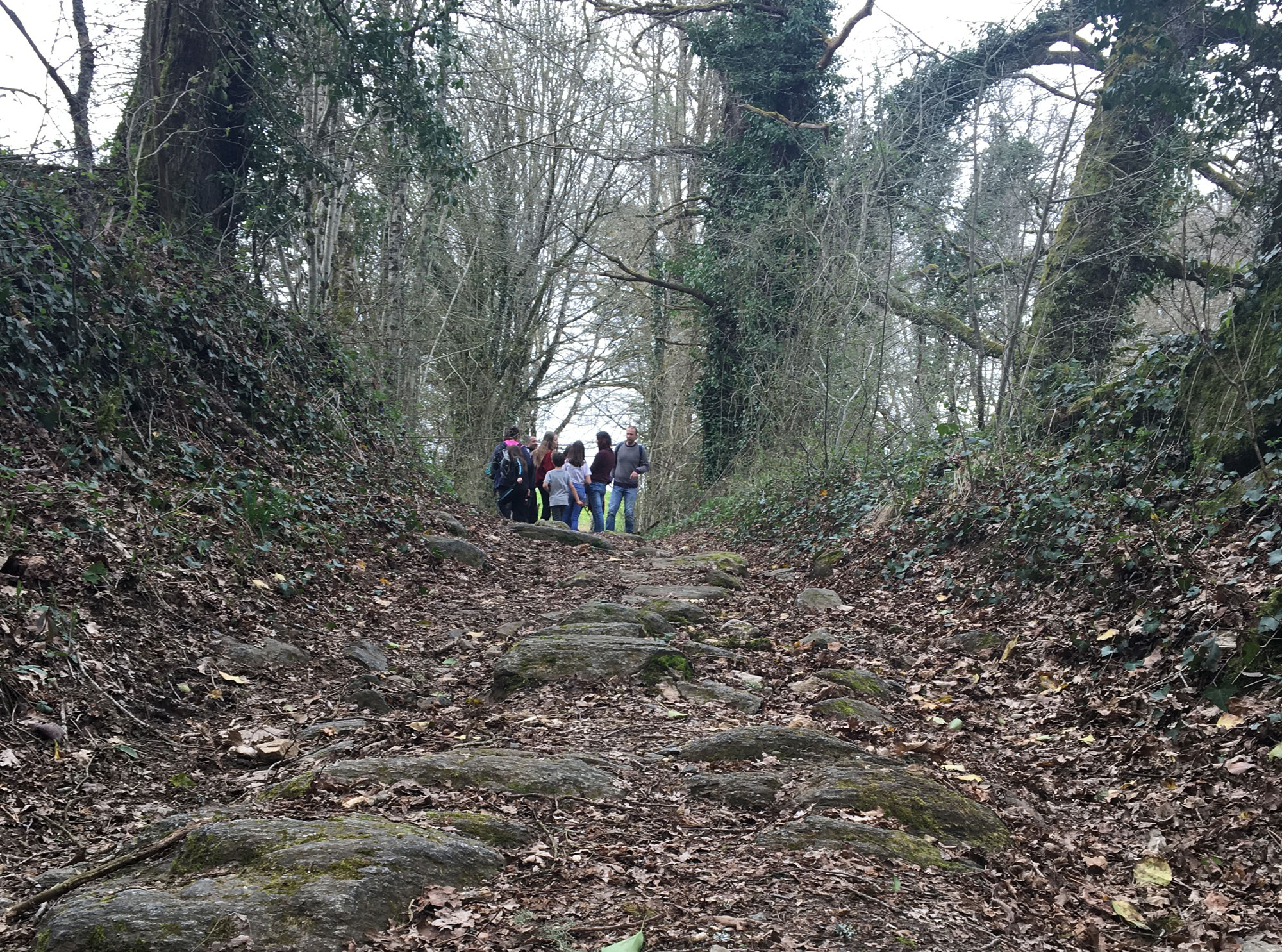 Les amoureux de la Forêt de Blanchefort, Lagraulière - photo 6