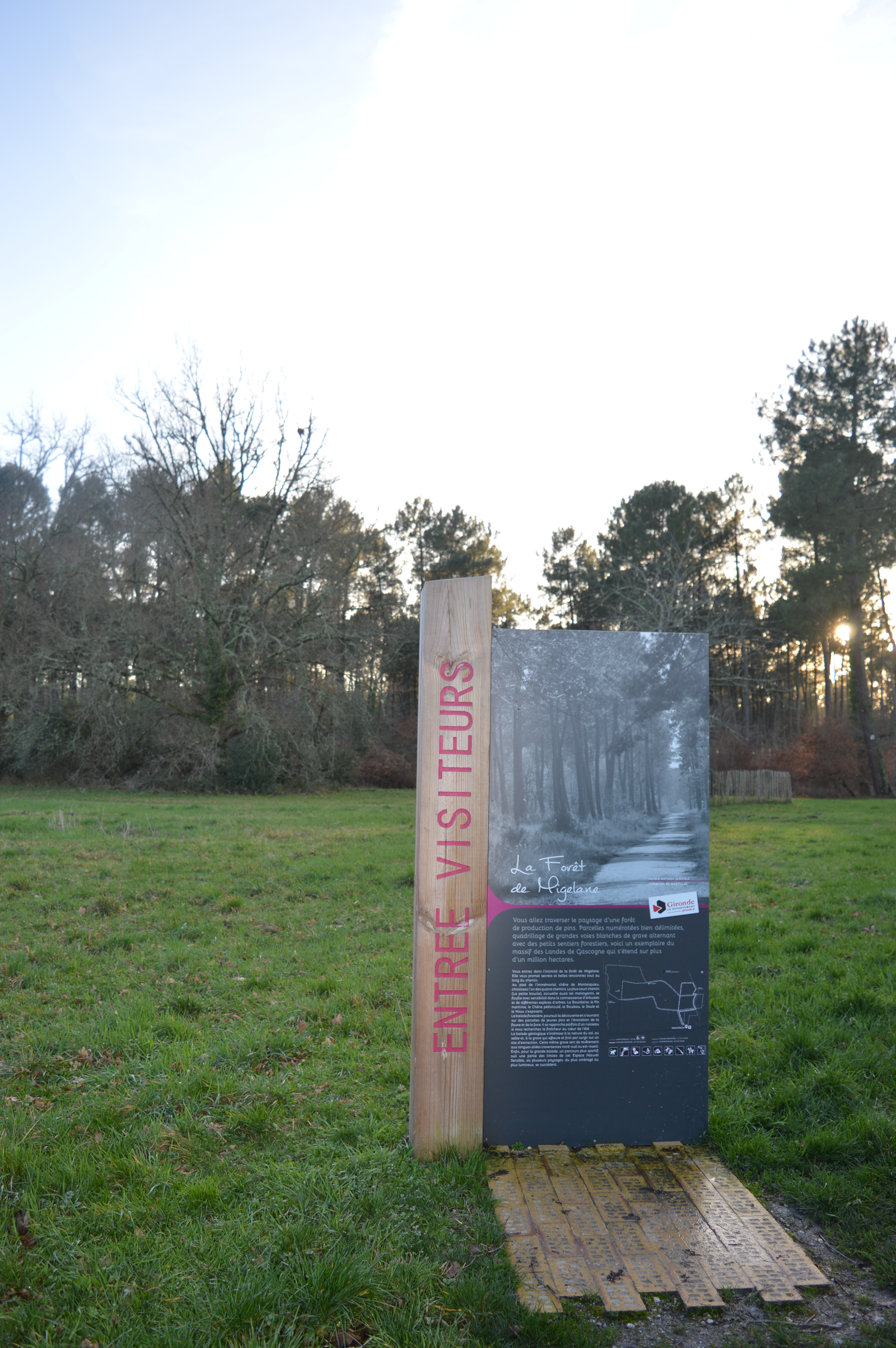 Balade à roulettes : Forêt de Migelane - La balade géologique, Martillac - photo 3
