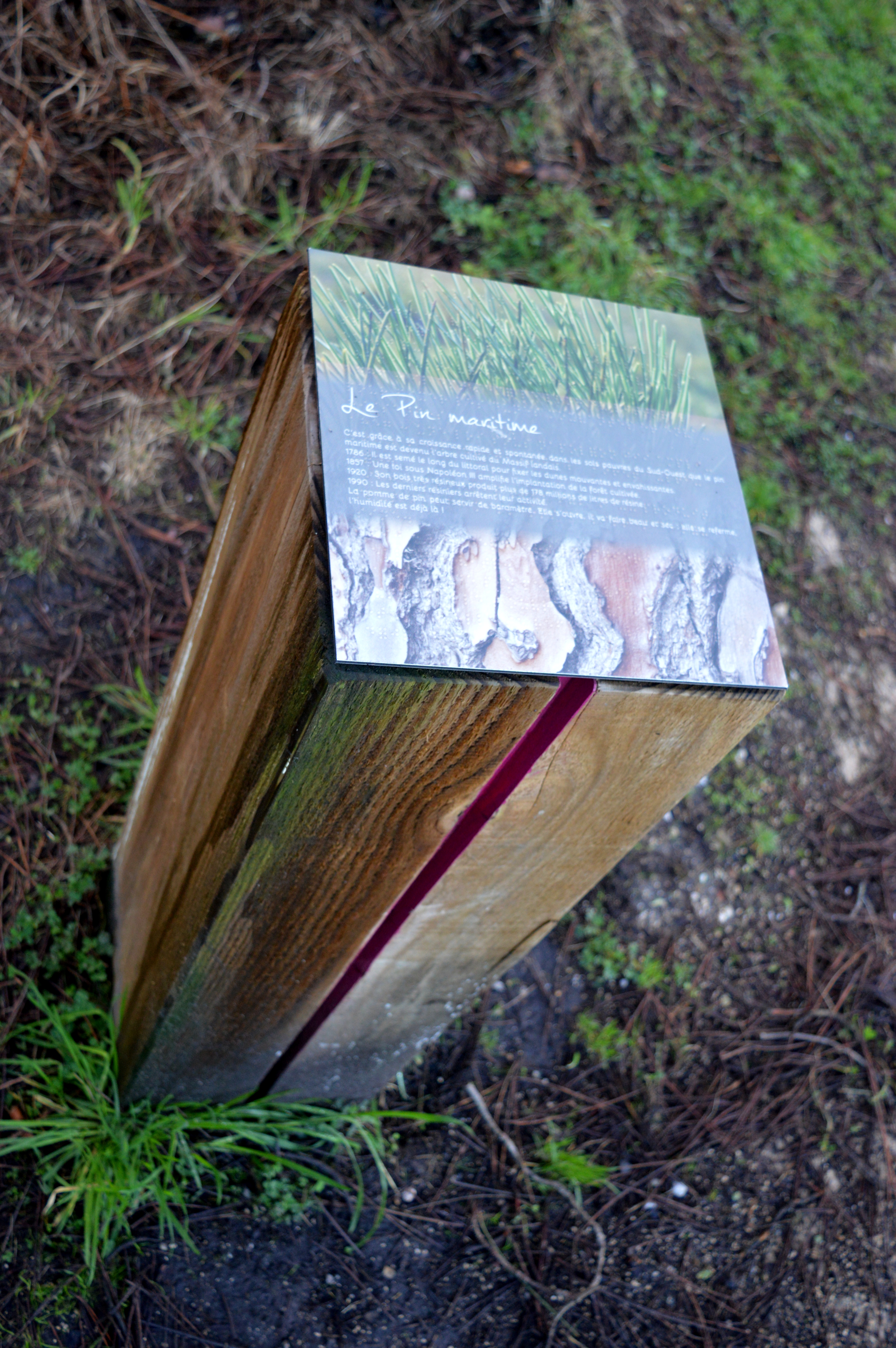 Balade à roulettes : Forêt de Migelane - La balade géologique - photo 2