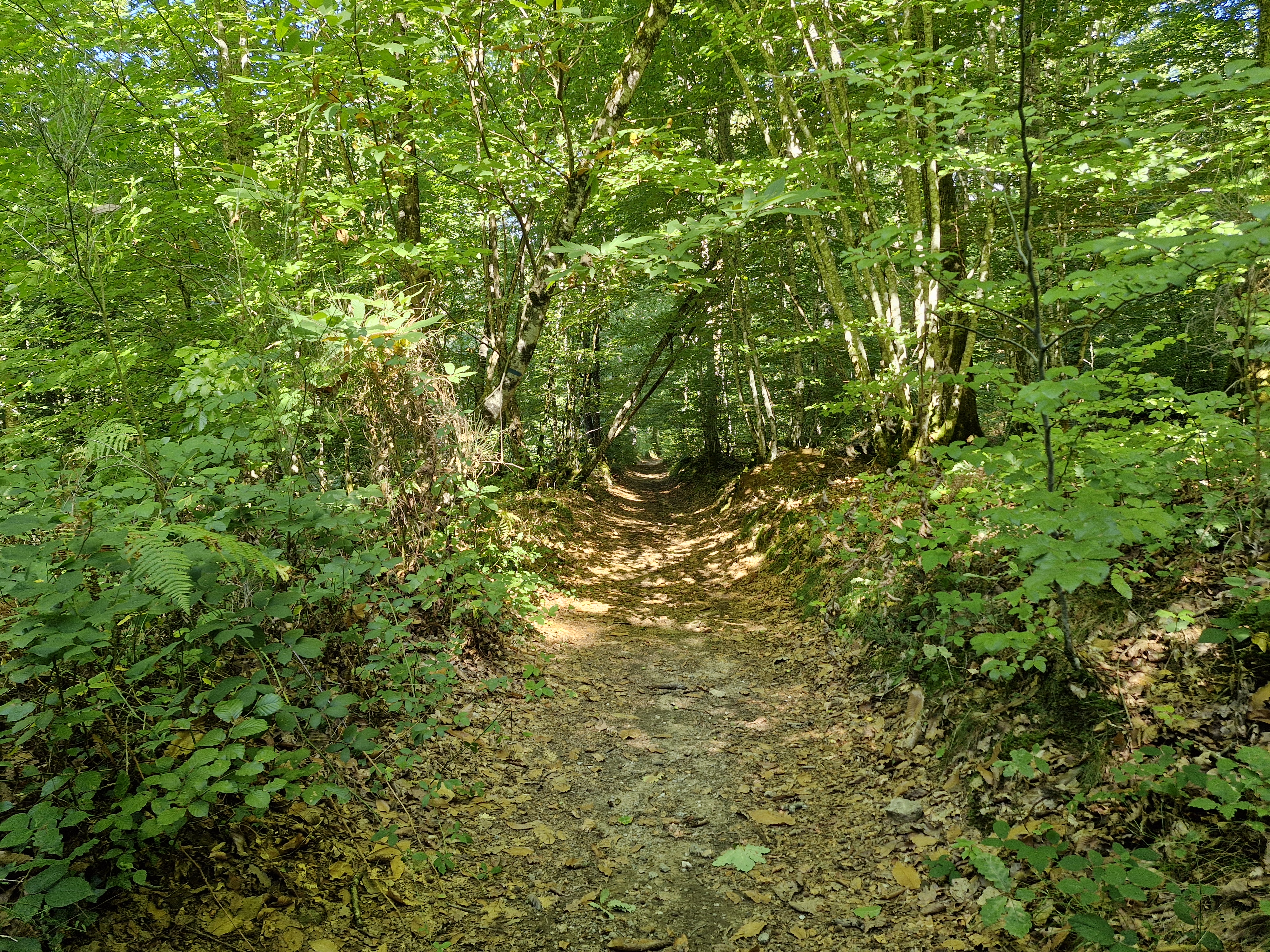 La boucle des trois villages
