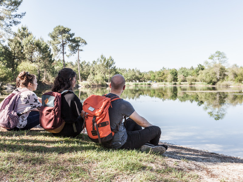 Forêt de Pins au Pian-Médoc - photo 4